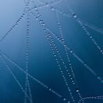 Web 3.0 and what it means for your business